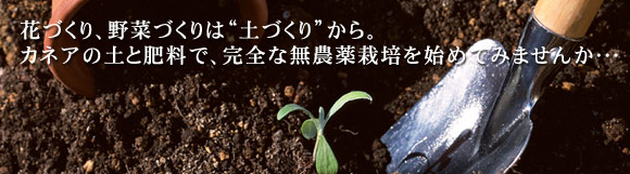 花づくり、野菜づくりは“土づくり”から。カネアの土と肥料で、完全な無農薬栽培を始めてみませんか･･･